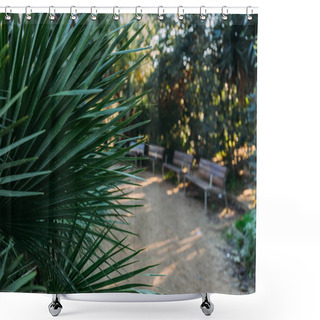 Personality  Selective Focus Of Green Palm Leaves In Parc De La Ciutadella, Barcelona, Spain Shower Curtains