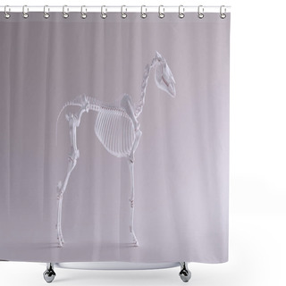 Personality  Horse Skeletal System Anatomical Model Front View 3d Illustration 3d Render Shower Curtains