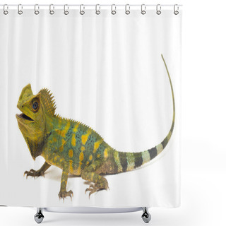 Personality  Chameleon Forest Dragon / Gonocephalus Chamaeleontinus Isolated On White Background Shower Curtains