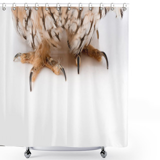 Personality  Close Up View Of Fluffy Wild Owl Claws Isolated On White With Copy Space Shower Curtains