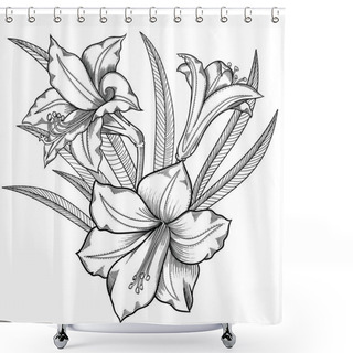 Personality  Blooming Lily Flowers , Detailed Hand Drawn Vector Illustration. Romantic Decorative Flower Drawing .Lilies In Line Art Sketchy Style.All Authentic Unique Flourish Objects Isolated On White Background Shower Curtains