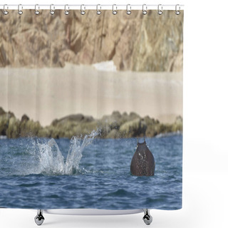 Personality  Mobula Ray Jumping Out Of Water Shower Curtains