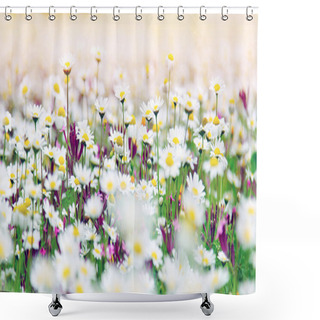 Personality  Daisy Field Shower Curtains