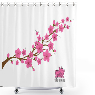 Personality  Sakura Flowers Background. Cherry Blossom Isolated White Background Shower Curtains
