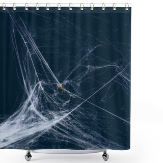 Personality  White Web And Spider In Darkness, Creepy Halloween Decor Shower Curtains