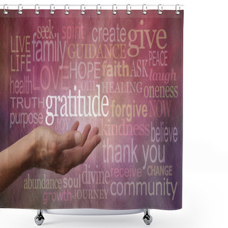Personality  Gratitude Attitude Shower Curtains