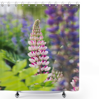 Personality  Beautiful Meadow With Blooming Lupine Flowers Shower Curtains