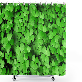 Personality  Expanse Of Four-leaf Clovers Shower Curtains