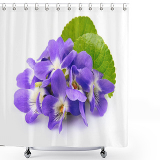 Personality  Violets Flowers.  Spring Flowers. Shower Curtains