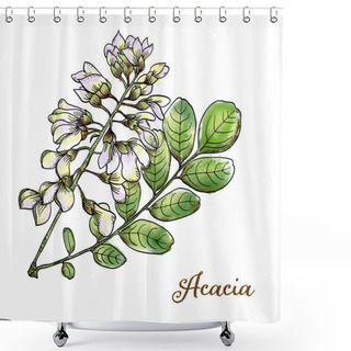 Personality  Artistic Botanical Hand-drawn Watercolor Acacia Blossoms And Leaves For Herbarium On A White Background. High Resolution Jpeg. Shower Curtains