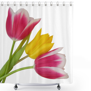 Personality  Tulips Shower Curtains