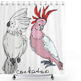 Personality  Vector Sky Bird Cockatoo In A Wildlife. Black And White Engraved Ink Art. Isolated Parrot Illustration Element. Shower Curtains