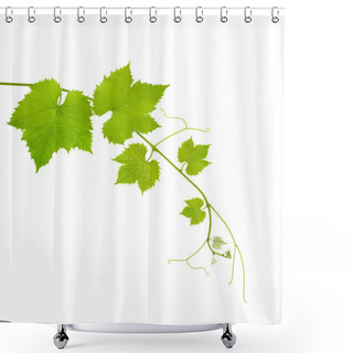 Personality  Vine Leaves Shower Curtains