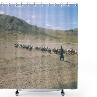 Personality  Herd Of Sheep Grazing On Pasture In Rocky Mountains, Indian Himalayas, Ladakh Shower Curtains