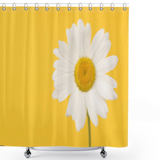Personality  Blooming Great White Daisy With Stem On A Yellow Background Shower Curtains