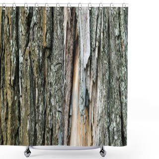 Personality  Close Up View Of Old Tree Bark, Ecology Concept, Banner Shower Curtains