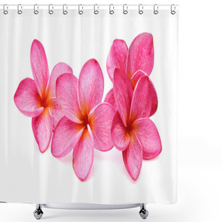 Personality  Plumeria Isolated On White Background. Shower Curtains