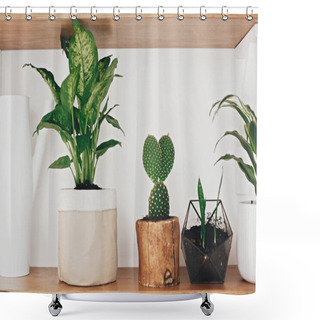 Personality  Stylish Wooden Shelves With Modern Green Plants And White Wateri Shower Curtains