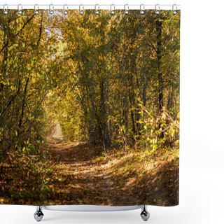 Personality  Picturesque Autumnal Forest With Golden Foliage And Path In Sunlight Shower Curtains