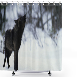 Personality  Wolf Howling In Snow Shower Curtains