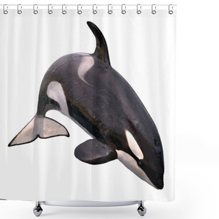 Personality  Isolated Killer Whale Jumping Shower Curtains