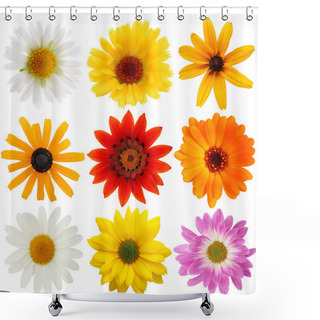 Personality  Daisy Collection Shower Curtains