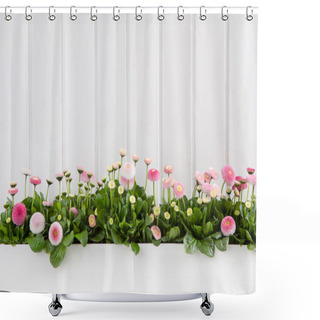 Personality  White Wooden Spring Background With Pink Daisy Flowers. Shower Curtains