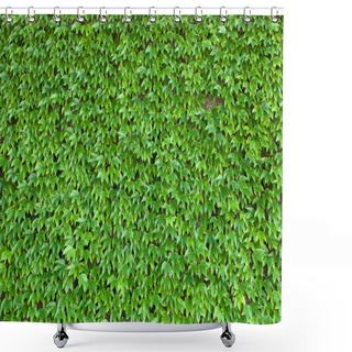 Personality  Green Plants As Background Shower Curtains