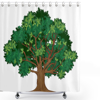 Personality  Vector Oak Tree Shower Curtains
