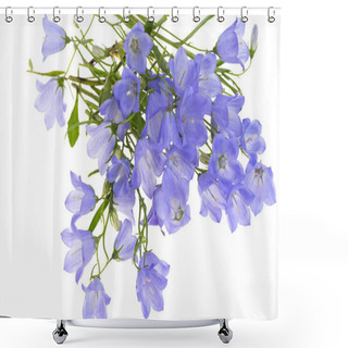 Personality  Blue Bells Isolated On White Background Shower Curtains