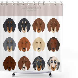 Personality  Dachshund Short Haired Clipart. Different Poses, Coat Colors Set.  Vector Illustration Shower Curtains