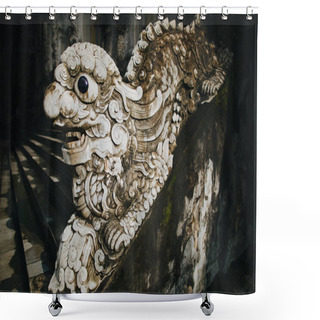 Personality  Sculpture Shower Curtains