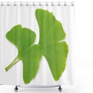 Personality  Two Ginkgo Leaves Shower Curtains