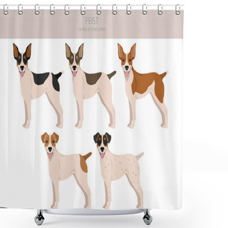 Personality  Feist Dog Clipart. Different Coat Colors Set.  Vector Illustration Shower Curtains