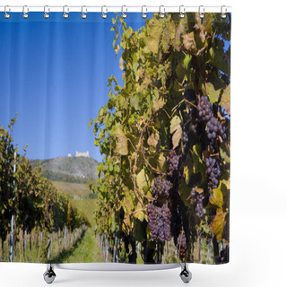 Personality  Ruins Of Devicky Castle With Vineyard, Czech Republic Shower Curtains