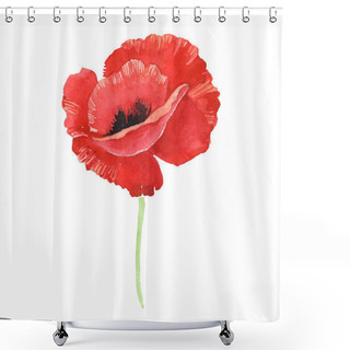 Personality  Red Poppy Isolated On White. Watercolor Background Illustration Element. Shower Curtains