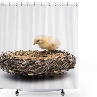 Personality  Cute Small Chick In Nest On White Background Shower Curtains