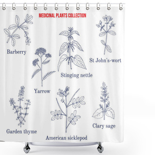 Personality  Set Of Different Medicinal Plants Shower Curtains
