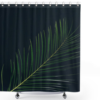 Personality  Top View Of Green Palm Leaves Isolated On Black Shower Curtains