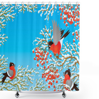 Personality  Bullfinches Shower Curtains