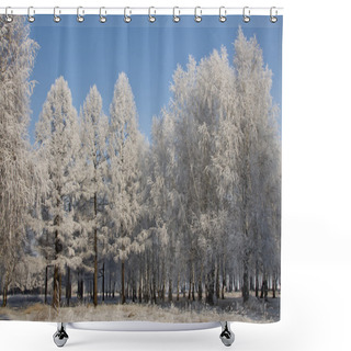 Personality  Winter In Siberia. Shower Curtains
