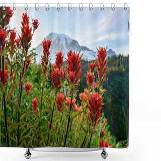 Personality  Orange Paintbrush Flowers With Mount Rainier In Background Shower Curtains