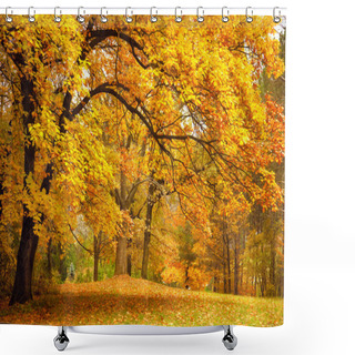 Personality  Autumn / Gold Trees In A Park Shower Curtains