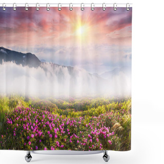 Personality  Beautiful Mountain Flowers Rhododendrons Shower Curtains