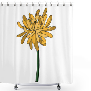 Personality  Vector Chrysanthemum Botanical Flower. Black And White Engraved Ink Art. Isolated Chrysanthemum Illustration Element. Shower Curtains