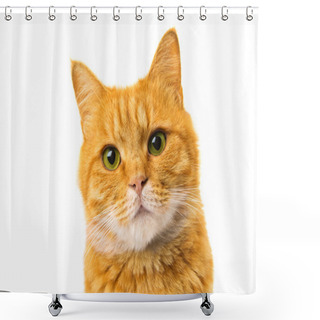 Personality  Ginger Cat Shower Curtains
