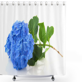 Personality  Blue Hydrangea Shower Curtains