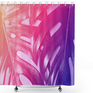 Personality  Big Monstera Leaves. Tropical Theme Background In A Trendy Flat Lay Style In Vibrant Gradient Holographic Colors. Pop Art. Natural Trendy Background. Shower Curtains