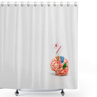 Personality  White Card With Omicron Lettering And Bacteria Icon Near Brain Model On Grey Background With Copy Space Shower Curtains