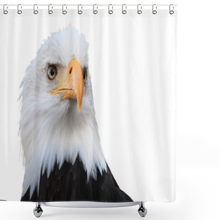 Personality  Bald Eagle (Haliaeetus Leucocephalus) Shower Curtains